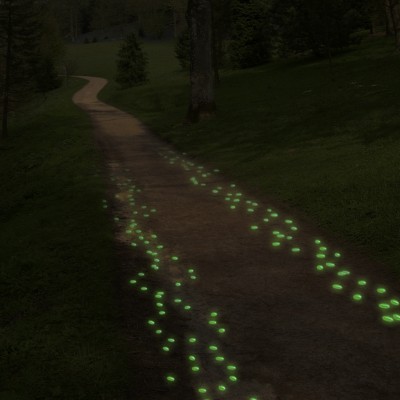 500 Glow in the Dark Pebbles for Walkways and Decor   564716205